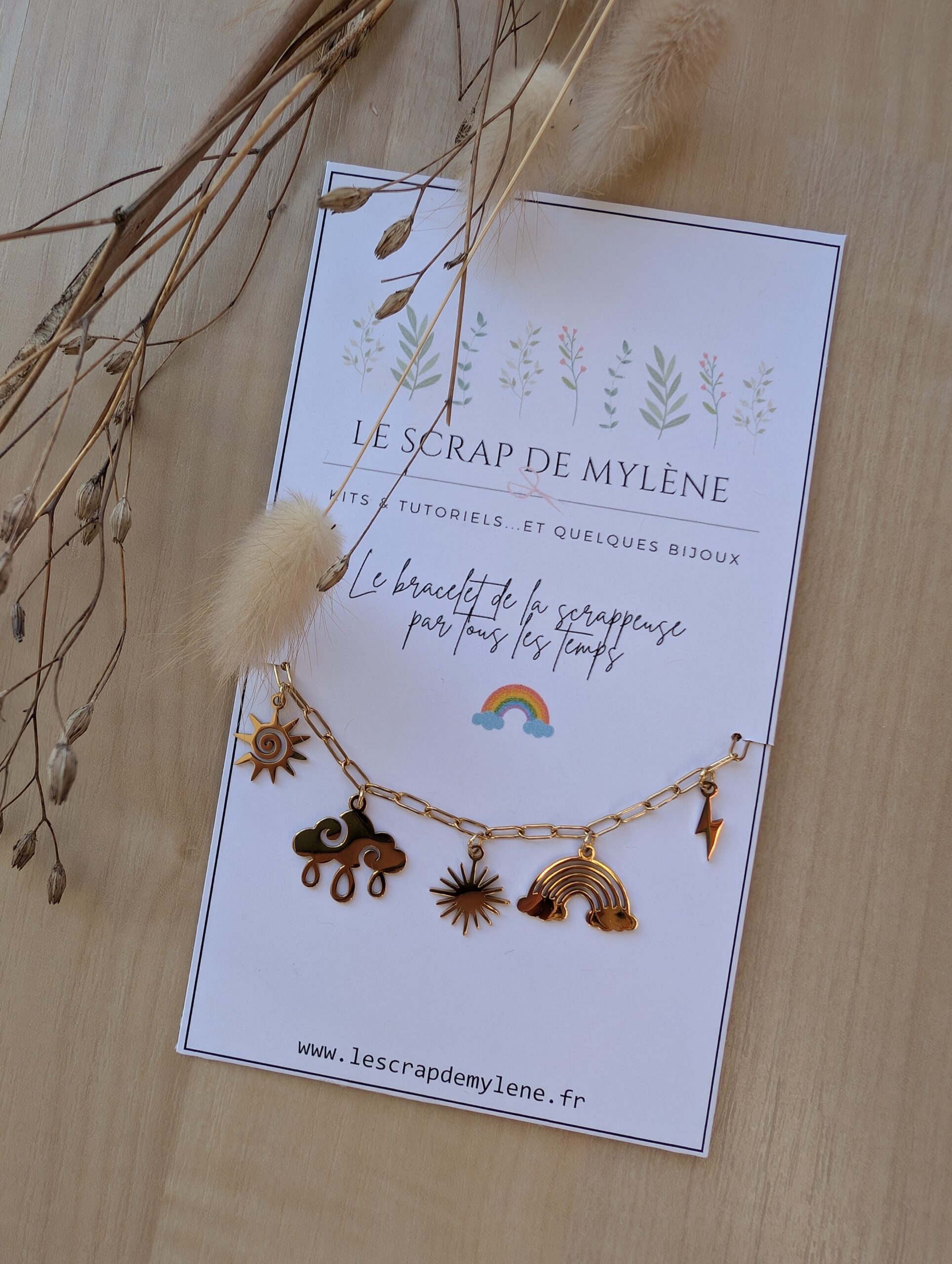 La scrappeuse par tous les temps – Image 3